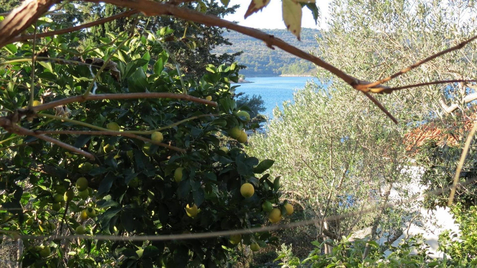 Apartments Janja - Terrace Sea View Nečujam Dış mekan fotoğraf